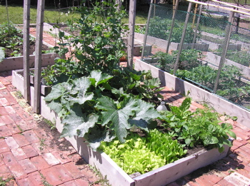 A prospering garden in the heart of Cleveland, Ohio